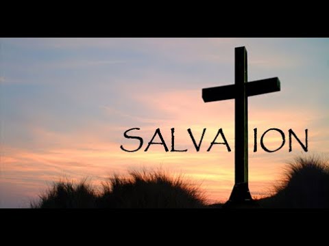 Praise for Salvation