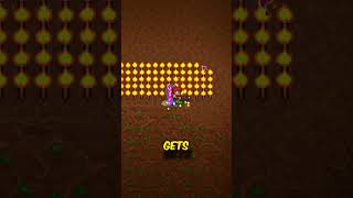 Everything About The Torch God Event In Terraria