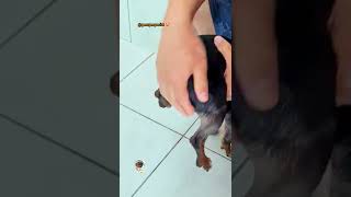Na Cabeça Shampoo Lave Bem O Seu Pé