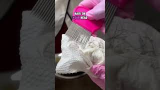 Proof That Lice Have No Preference.
