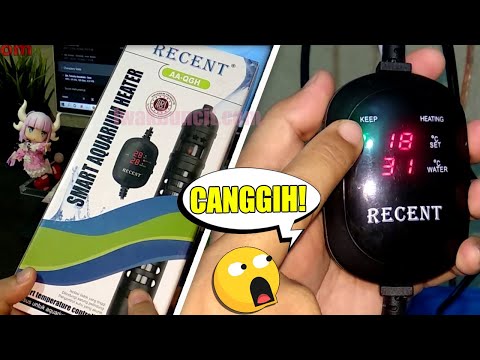 Heater yang Beneran Smart: Review Recent Smart Heater AA-QGH for Sump Filter - Lebih Akurat
