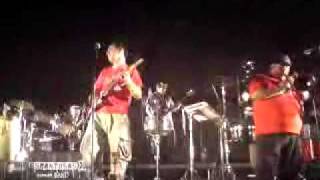 Watch Gato De Troya Chingas Chingas Pirilingas video