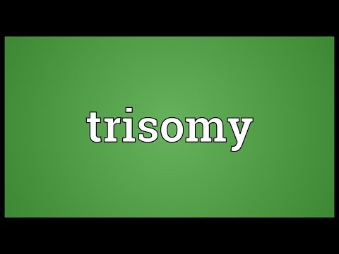 Header of trisomy