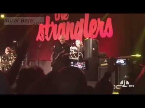 The Stranglers - Always The Sun ( Ao vivo na Rural Beja 2016 ) Tradução