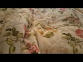 Wife Geting Off Orgasmic Fail By Me Hahaha images Wife Geting Off Orgasmic Fail By Me Hahaha