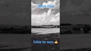 Nature Vibes - Black & White