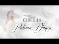 Chiquis "Paloma Blanca" (Nuevo Sencillo 2014)
