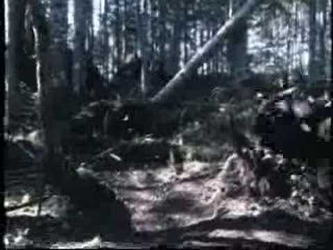 Ranker Video
