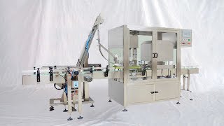 Glass jars vacuum capping machine rotary bottles sealing capper equipment sellador de tarros