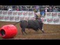 Bullfighting - Styles of Bullfighting Bullfighting - Styles of Bullfighting