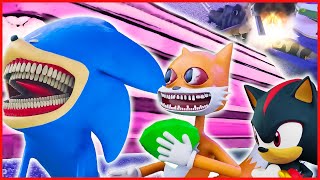 Rip Shin Sonic Tapes - Coffin Dance Meme Song Cover