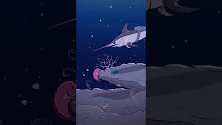 Swordfish
