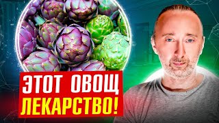 Артишок: Для Почек И Кишок! Эликсир Здоровья!