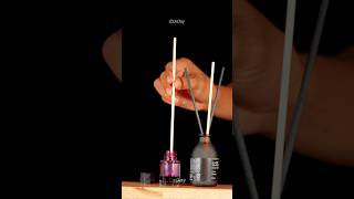 How Reed Diffuser Work Up Close