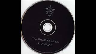 Watch Sisters Of Mercy Never Land video