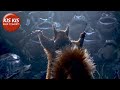 Opera performed by animals | "Maestro" - CG short film by Illogic collective