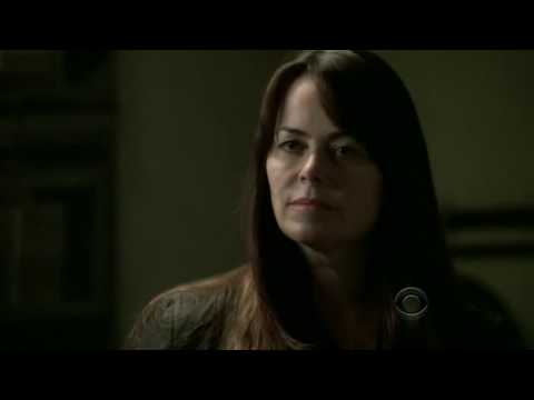 Polly Walker guest role in Numb3rs It was first aired on April 10th 2009