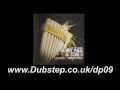 Benny Page & Zero G - Pan Pipes - Digital Soundboy Recording Co. - Dubstep