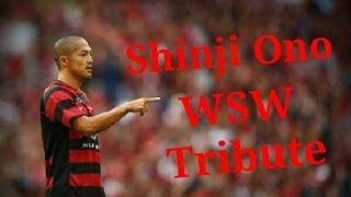 fTHZzBfV_J4 Video Image