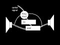 A Loudspeaker as Drumhead