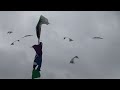 iquad performs at the Don Jacobs Toyota at the Frank Mots Int'l Kite Festival