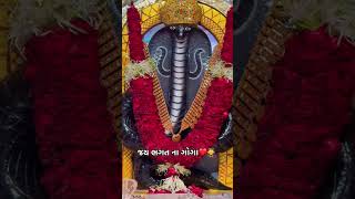 ભરહ ન ભગવન Ll
