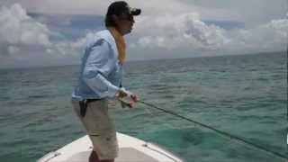 Barry Attack SFA SA fly fishing film competition 2012 best clip winner