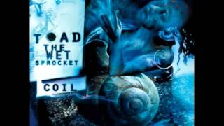 Watch Toad The Wet Sprocket Dont Fade video