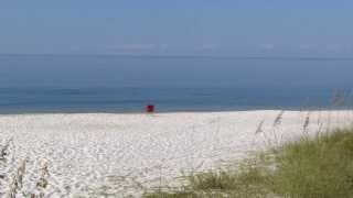 Video  A Sad Sight on Mexico Beach, Florida
