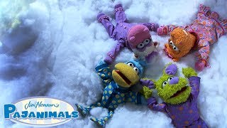Song The Night Sky Pajanimals