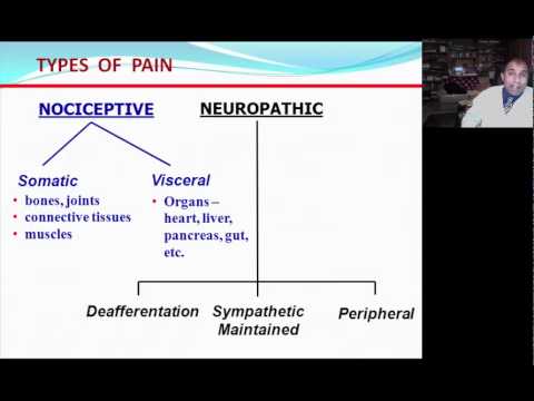 Nociceptive Vs Neuropathic Chart