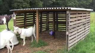 Safe-overnight-goat-pens-for-sale-goat-shelters-for-salechicken-coops 