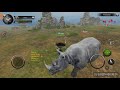 Wild animals online: Wave the ostrich
