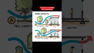 Wind Effect Part 4
