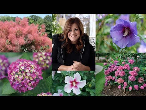 New Shrubs for 2021! (Part 1) 🌿🌲🌸 // Garden Answer