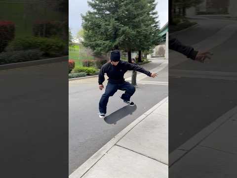 Fakie flip or switch flip??