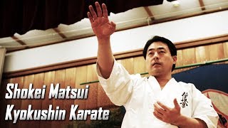 Kancho Shokei Matsui - Kyokushin Karate
