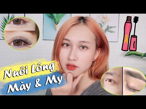 Bí Kíp Nuôi Lông Mày, Lông Mi Dài Và Dày Cực Đơn Giản Và Hiệu Quả | CHLOE DO