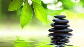 Easy Listening Piano Instrumental Music: Relaxing Music For Stress Relief, Easy Listening Music 😍