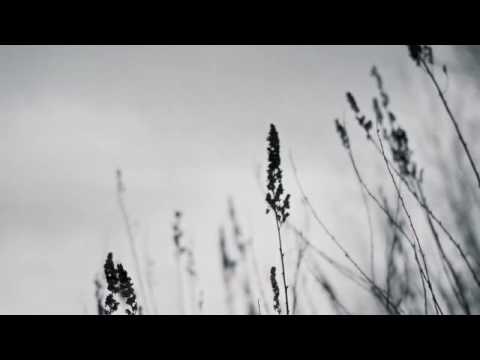 Dark Ambient Music - Frozen