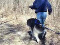 100_9480.MOV