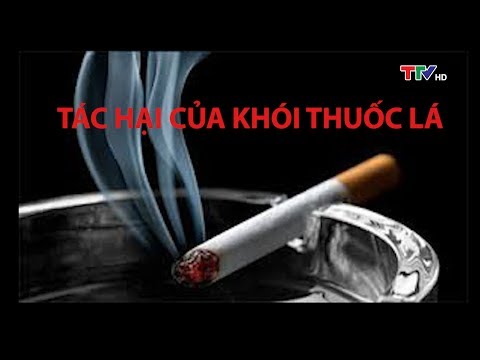 Tác hại của thuốc lá đối với sức khỏe con người