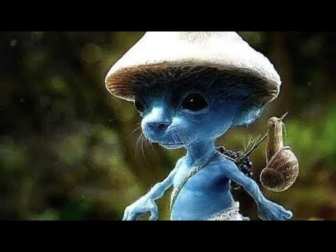 Smurf cat in melon playground (this is not my song)READ DESCRIPTION