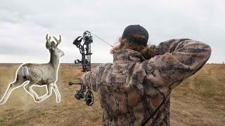 FULL DRAW on a PUBLIC LAND MULE DEER BUCK! | SPOT and STALK | BOWHUNTING South Dakota Early Season