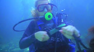 Gangsters, Cocaine, Two Frogwomen.and A Scuba Fight - Part 2