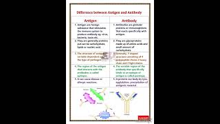 Difference Between Antigen And Antibody L What Is Antigen L What Is Antibody
