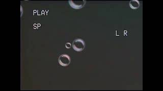 Opening To Bambi 2005 Vhs