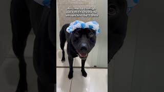 Arrume-Se Comigo Para A Minha Festa De Aniversário De 2 Anos