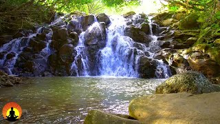 Relaxing Piano Music 24 7 Beautiful Relaxing Music Sleep Music Meditation Music Study Music Relaxing Piano Music 24 7 Beautiful Relaxing Music Sleep Music Meditation Music Study Music
