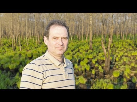 Sergei Bereznuk, 2012 Rolex Laureate